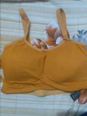 Buy Da Intimo Mustard Yellow Solid Non Wired Non Padded Bralette