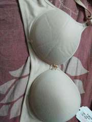 93% Cotton,7% Elastane Plain Convertible Cotton Padded Multiway Bra, Size:  36B,36C at Rs 557/piece in Lucknow