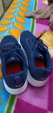 puma propel 3d idp running shoes