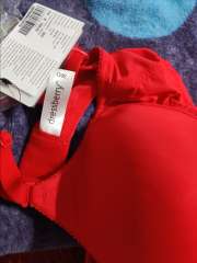 Buy DressBerry Red Solid Non Wired Lightly Padded T Shirt Bra DB BP 032B -  Bra for Women 7281223