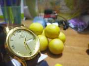Titan nh1580yl05 online