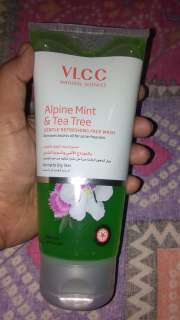 alpine mint and tea tree
