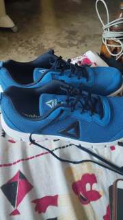 Buy Reebok Men Blue Ride Running Shoes Sports Shoes for Men