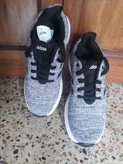 raddis 1.0