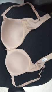 Buy Zivame Beige Solid Non Wired Lightly Padded T Shirt Bra