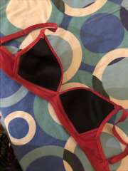 Buy DressBerry Red Solid Non Wired Lightly Padded Everyday Bra DB