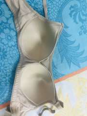 Buy DressBerry Beige Solid Non Wired Lightly Padded Everyday Bra DB CAM PAD  01D - Bra for Women 9050725