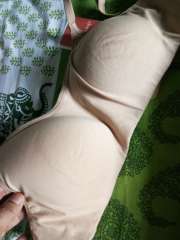 Buy DressBerry Beige Solid Non Wired Lightly Padded Everyday Bra