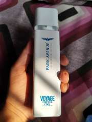 Buy Park Avenue Men Voyage Corsica Cool Premium Perfume 100g
