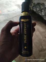 Buy Park Avenue Men Regal Premium No Gas Perfume Spray 130ml