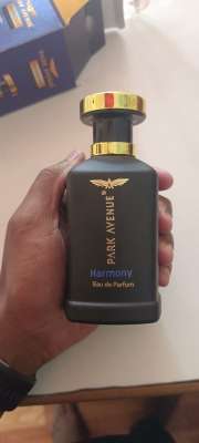 Buy Park Avenue Harmony Eau De Parfum 100 Ml Perfume for Men