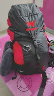 Wildcraft rucksack cliff 45 outlet