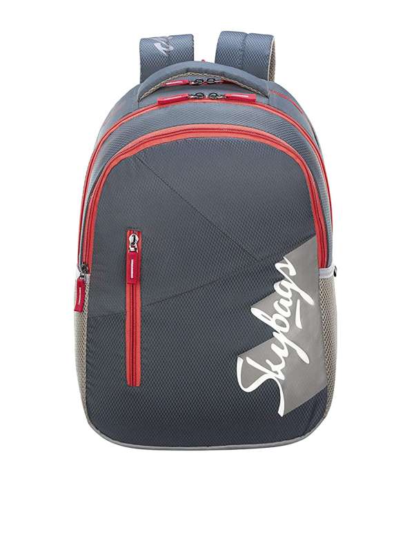 skybags grey colour