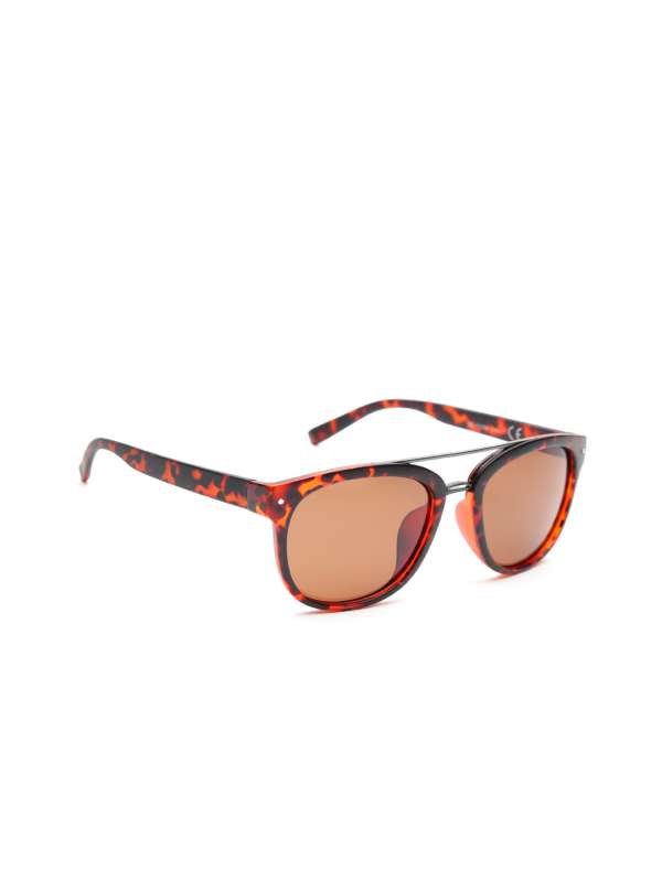 Daniel klein polarized sales