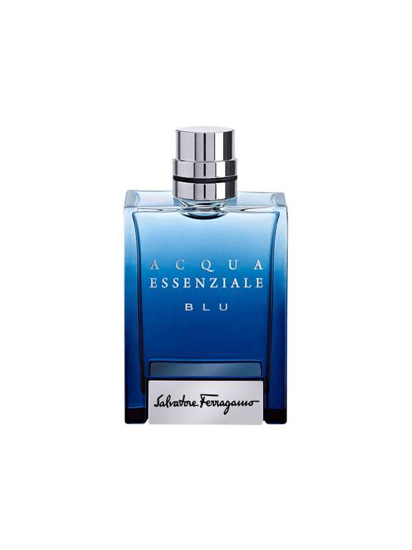 Salvatore fragrance 2025