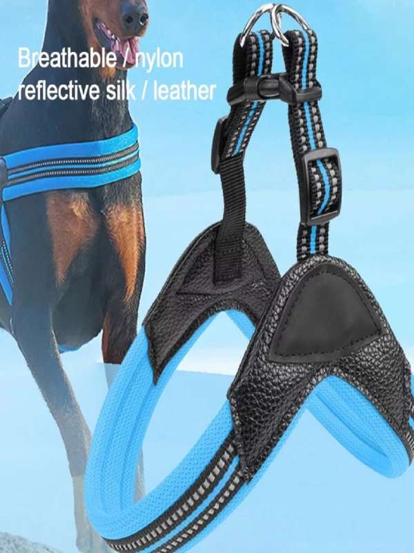 Dog hotsell harness online