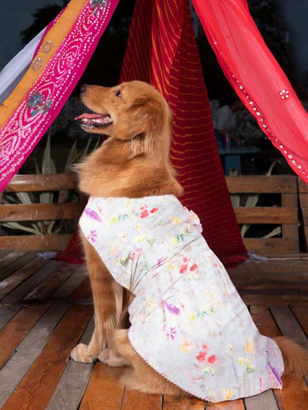 Dog Dress - Buy Dog Dress online in India