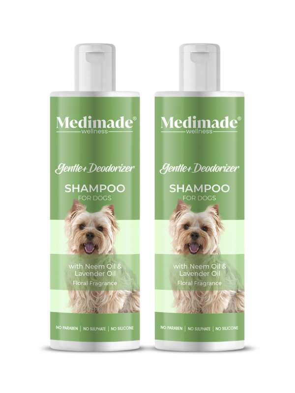 Buy dog accessories sales online