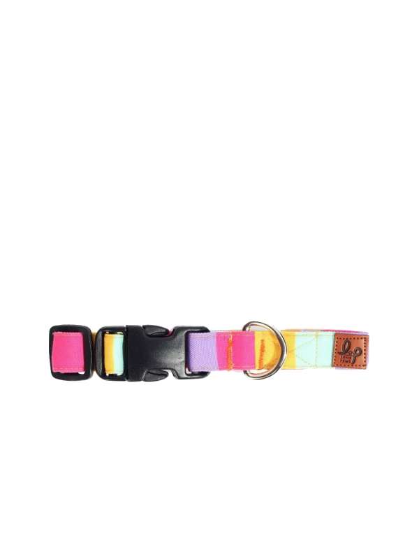 Pet collars online sales
