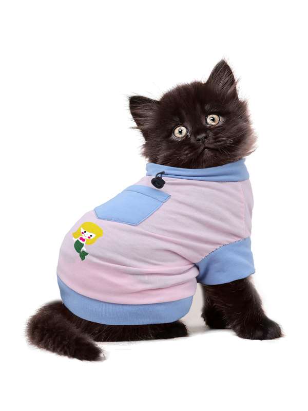 Buy cat clothes online