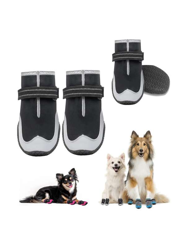 Pet shoes online online