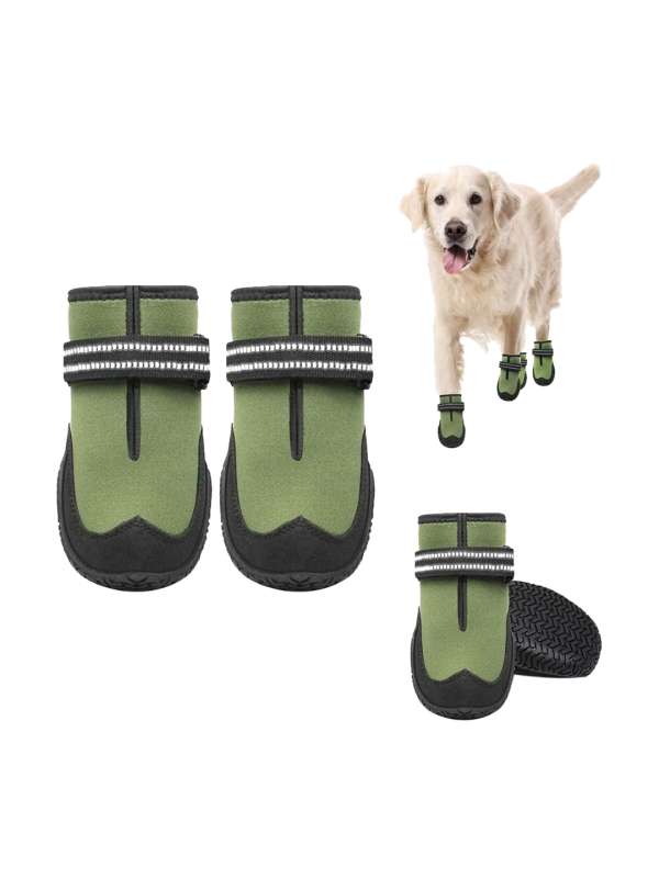 Pet shoes online top
