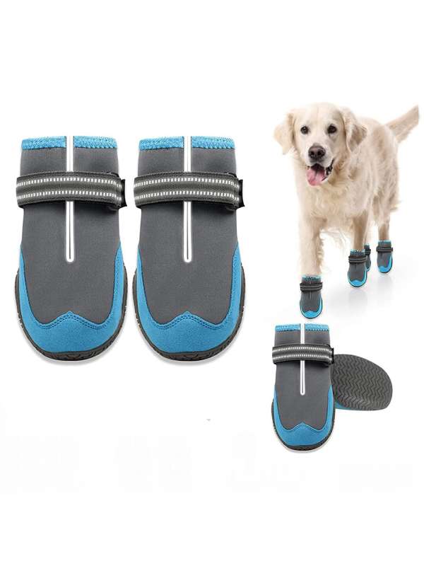 Dog online shoes price