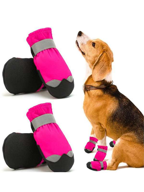 Dog Shoes, Dog, Dog Pink And Blue Zip Up Velcro Shoes
