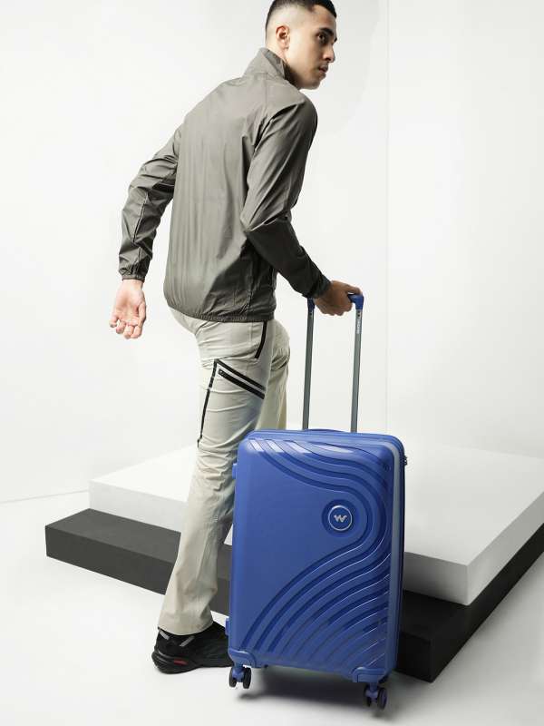 Wildcraft luggage hot sale