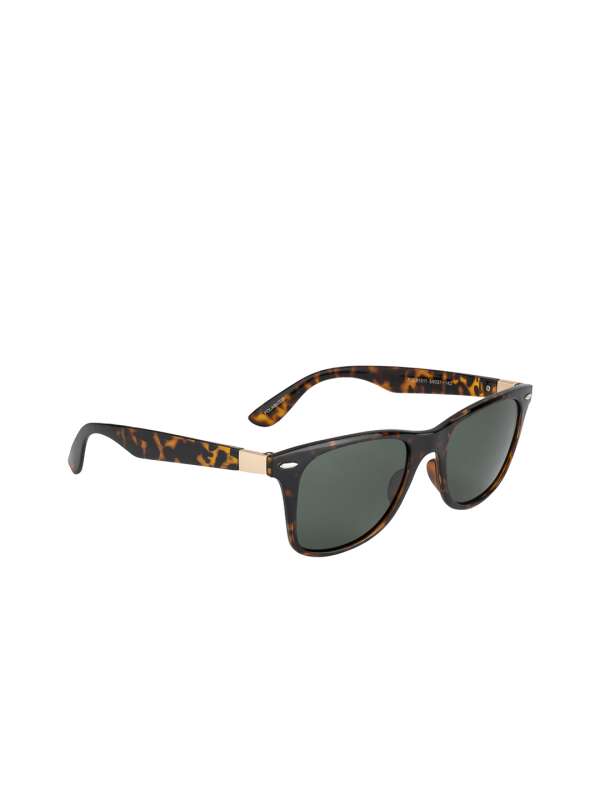 Coolwinks Wayfarer Sunglasses Green Buy Coolwinks Wayfarer
