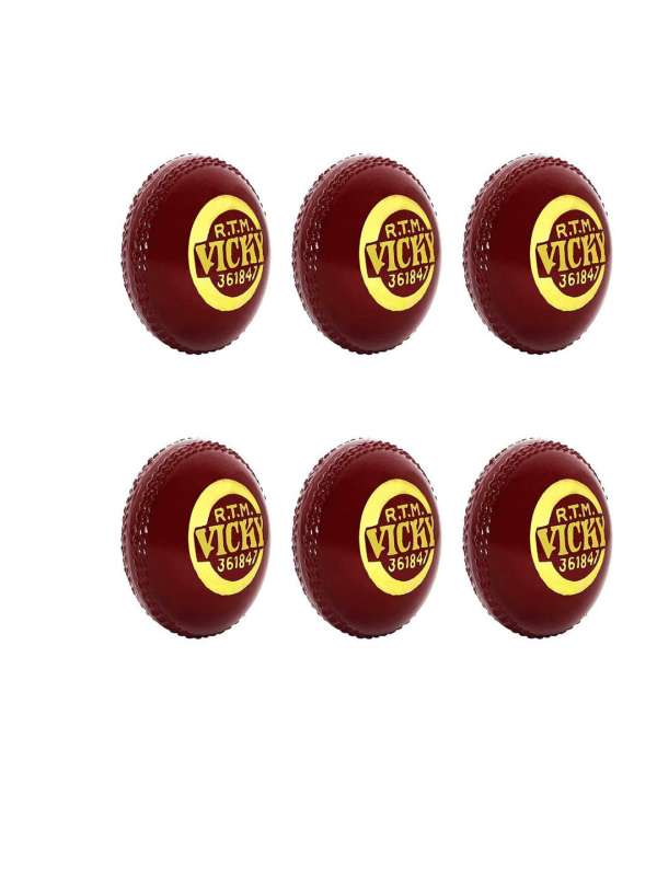 Puma cricket ball online