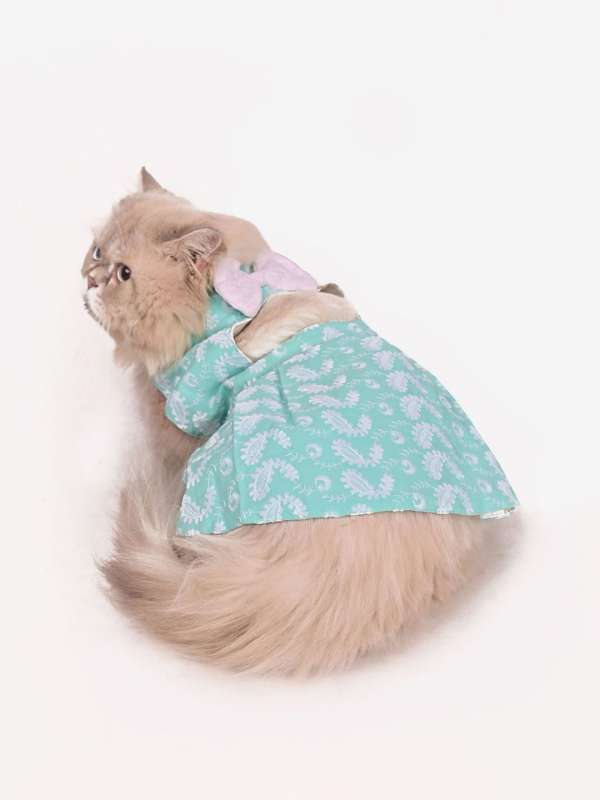Cat dress online best sale
