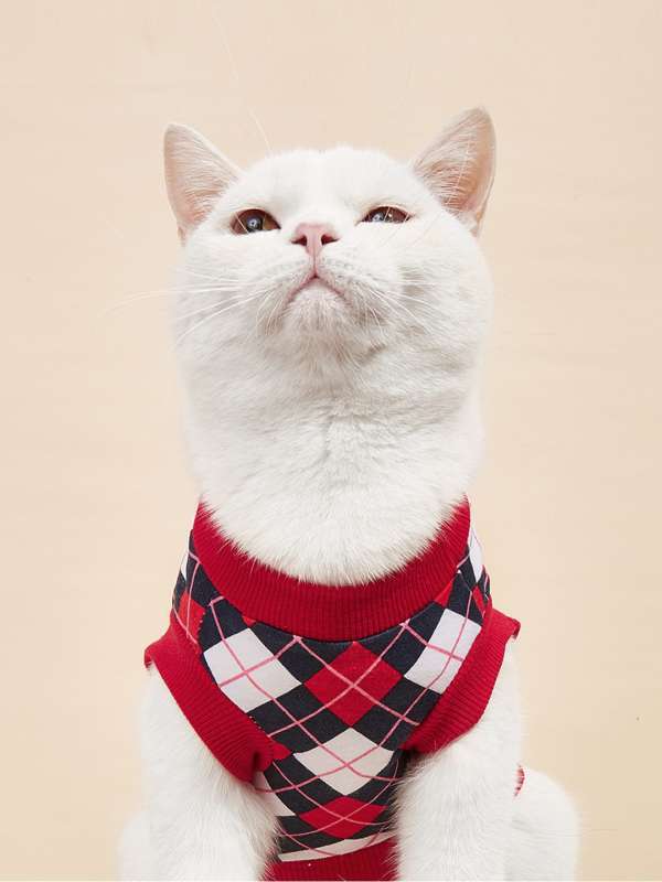 Dog t hotsell shirts online india