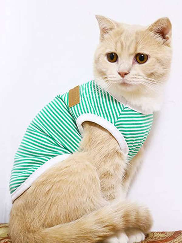 Cat Women Clothing Buy Cat Women Clothing online in India