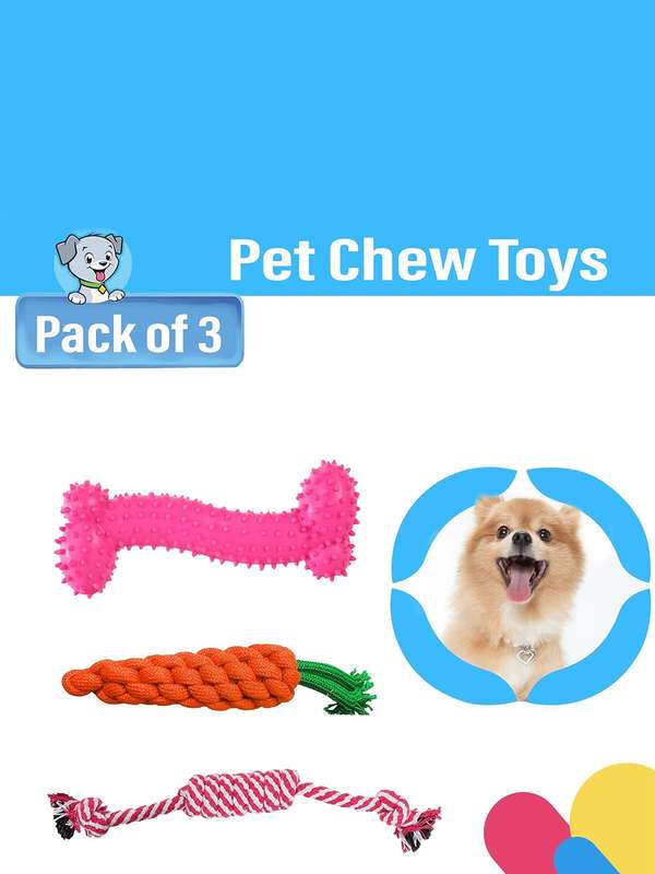 Pet toys online 2025