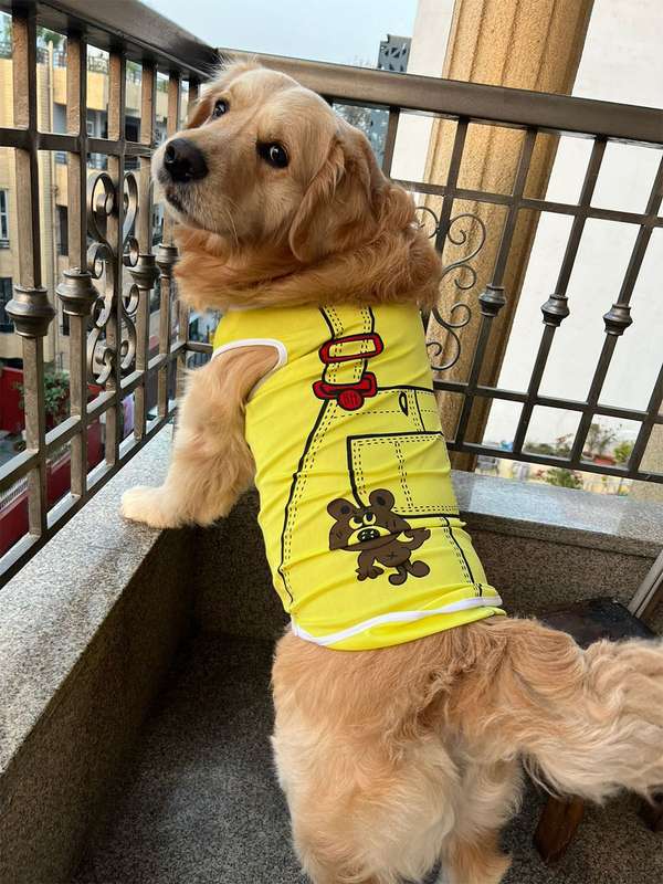 personalised dog t shirts