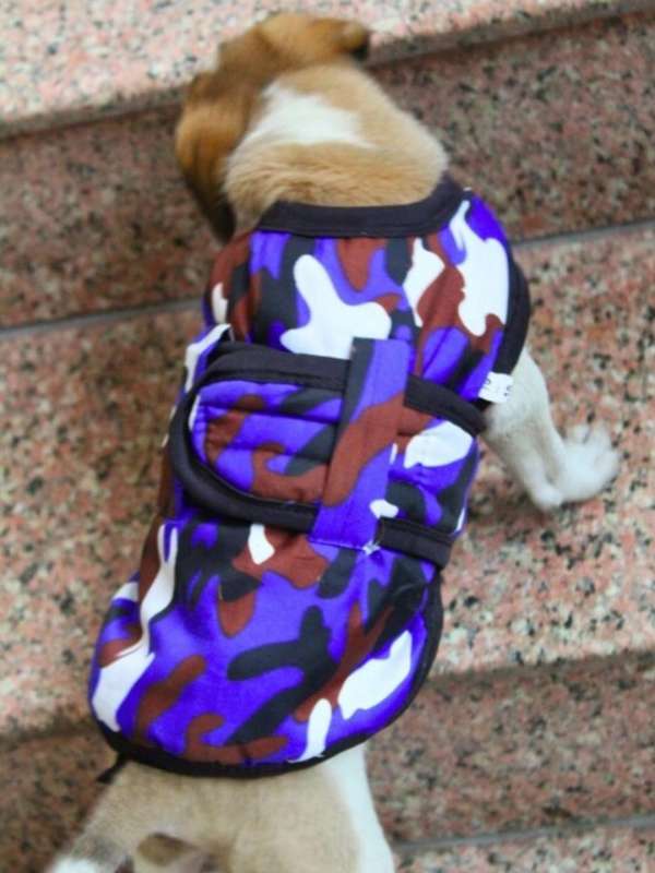 Buy hotsell dog jacket