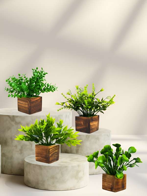 Artificial deals plants online