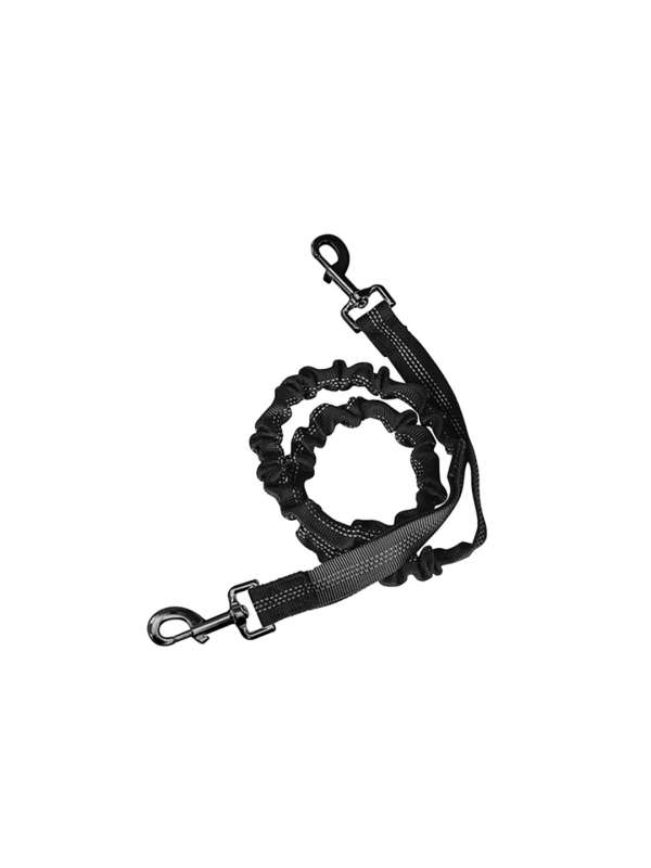 Dogs belt and chain online top