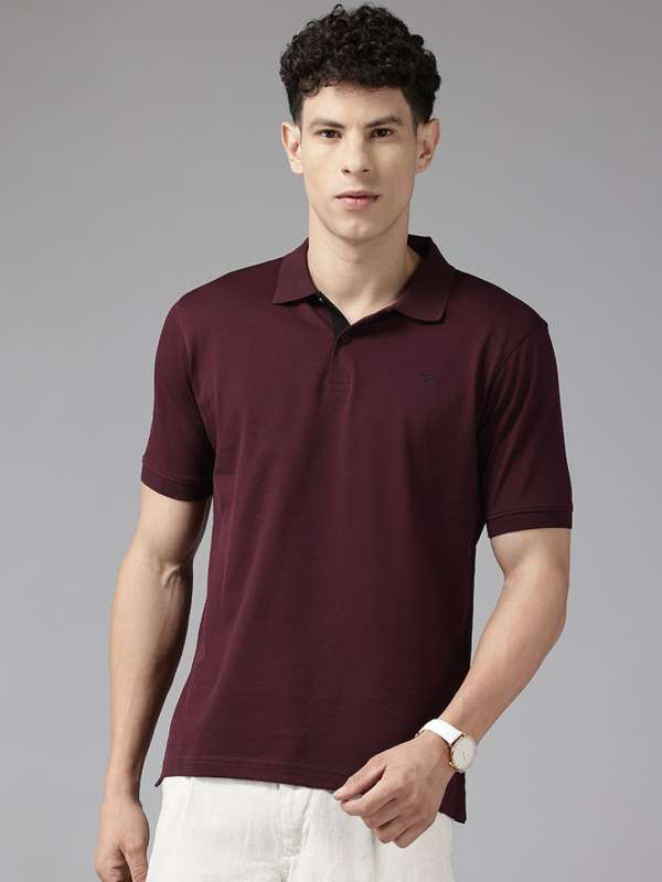 Men Polos Tshirts Lining Park Avenue Buy Men Polos Tshirts Lining Park Avenue online in India
