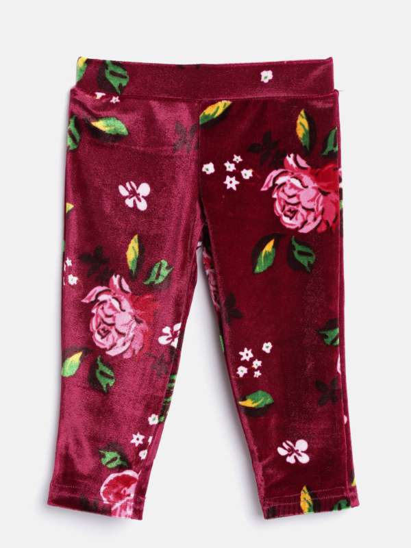 jeggings in myntra