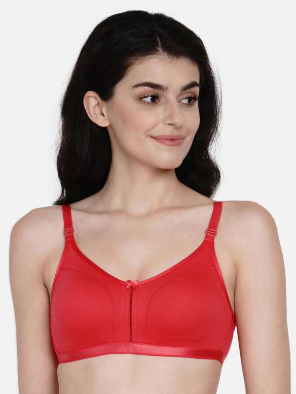 Enamor Red Chilli Pepper Lace Bra Price Starting From Rs 789. Find Verified  Sellers in Ludhiana - JdMart