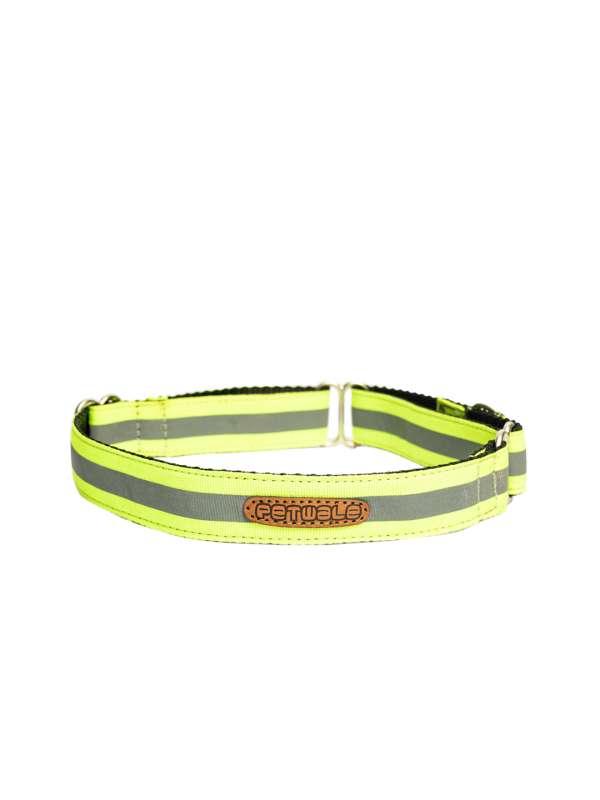 Pet Collars Buy Pet Collars online in India