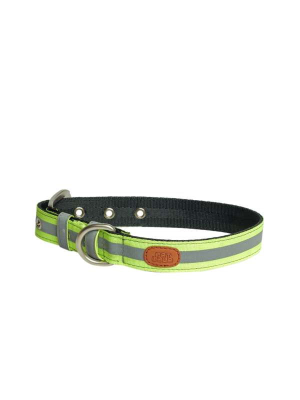 Dog deals belt online