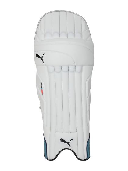 puma evopower 1.17 cricket bat