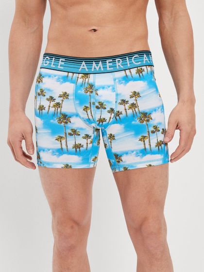 American Eagle Outfitters, Underwear & Socks, American Eagle Outfitters Mens  Boxer Brief Blue White Mushroom Size L
