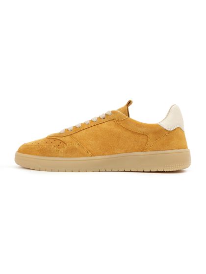Ochre gazelle top
