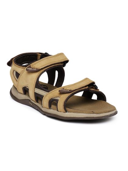 Buy Woodland Men Brown Leather Sports 