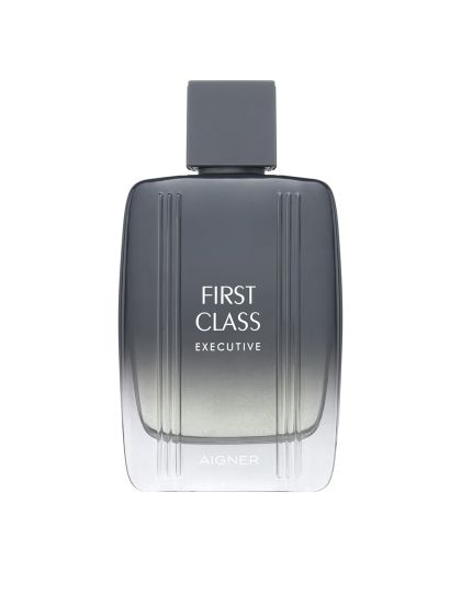 Aigner platinum 100 ml best sale