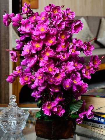 Artificial Flowers And Plants Online Myntra Artificial Flowers And Plants Online Myntra